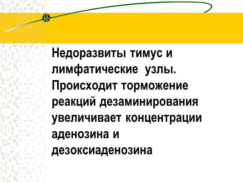 Недоразвиты тимус и           